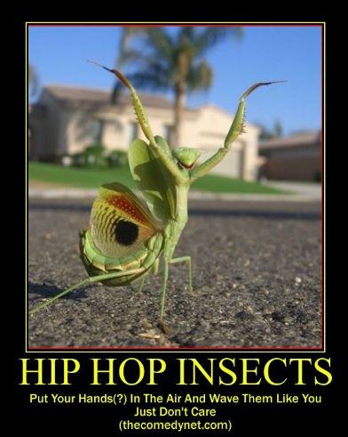 Obrázek hiphop bug