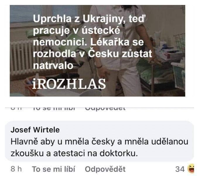 Obrázek hlavne at umi ceski