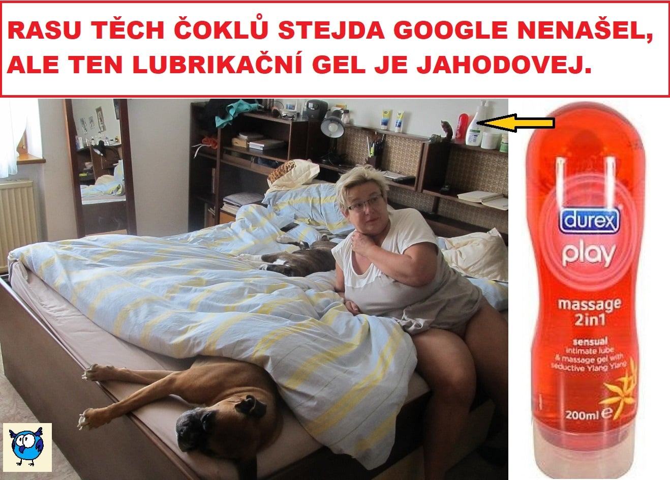 Obrázek hlavni hygienicka