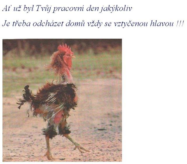 Obrázek hlavu vzhuru