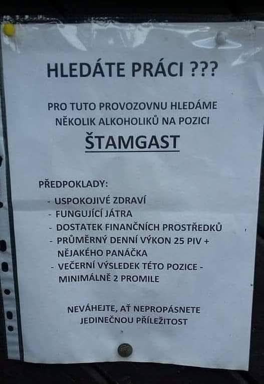 Obrázek hleda se stamgast