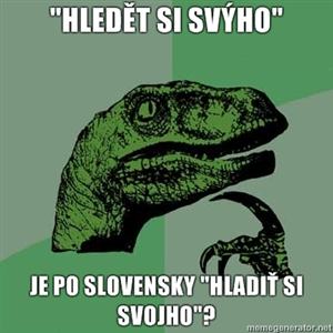 Obrázek hledet si svyho