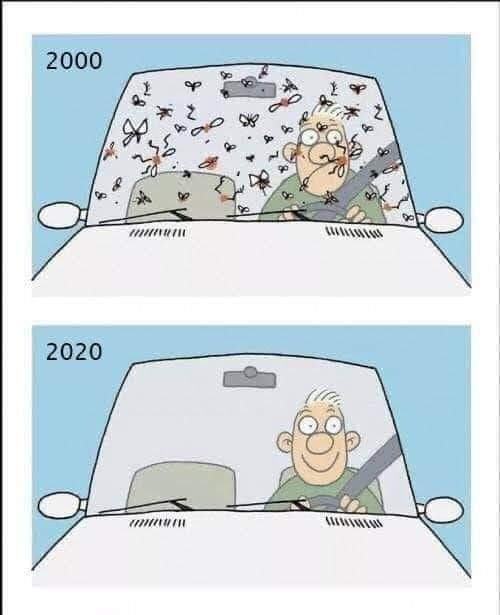 Obrázek hmyzaci