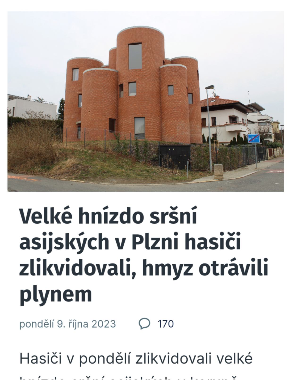 Obrázek hnizdo srsnu