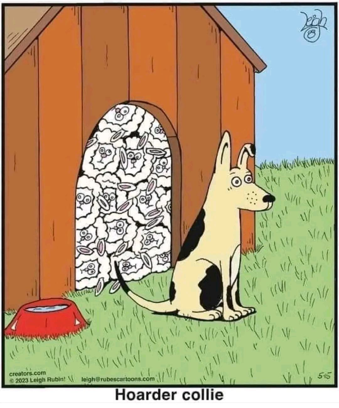 Obrázek hoarder