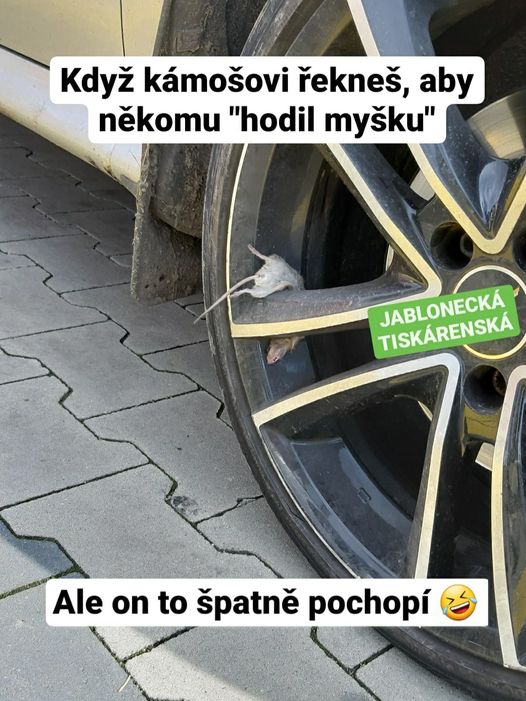 Obrázek hodil&nbsp;mysku