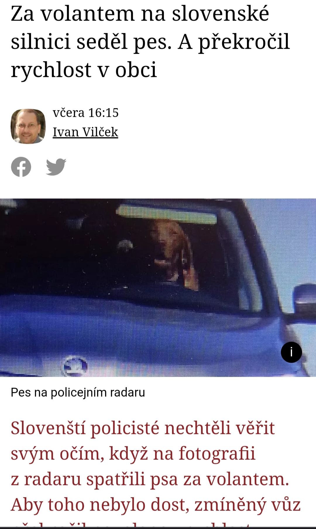 Obrázek hodnej pejsek odvezl panicka domu