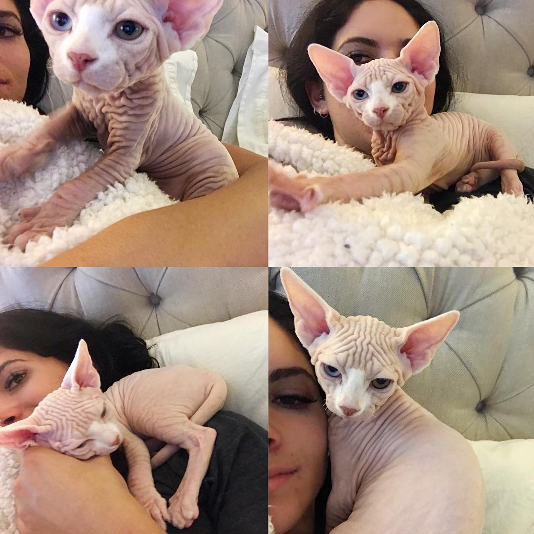 Obrázek holka s holou cicou