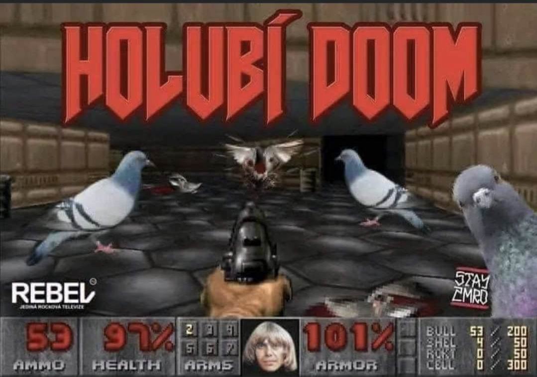 Obrázek holubi doom