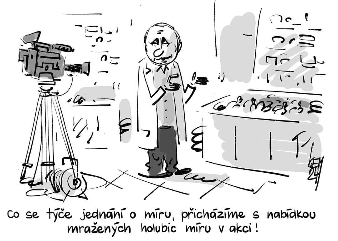 Obrázek holubice miru vyhodna nabidka