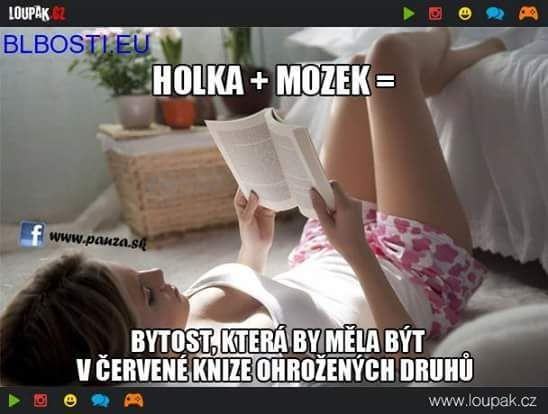 Obrázek holzek