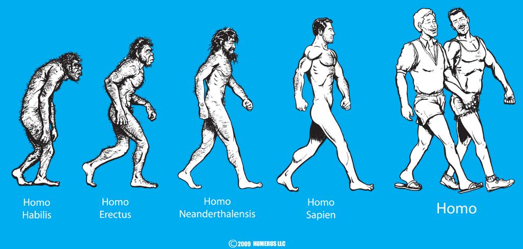 Obrázek homo