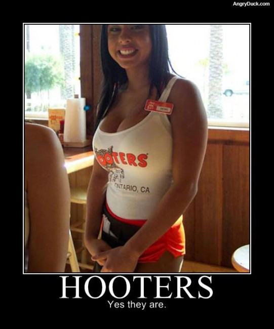 Obrázek hooters