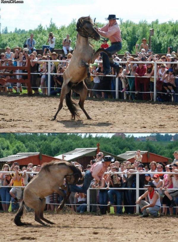 Obrázek hopsa hejsa