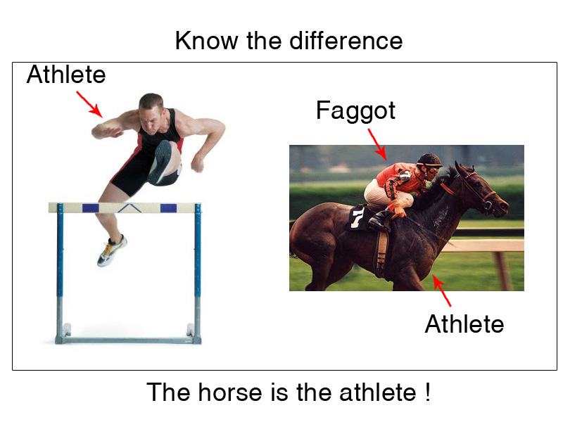 Obrázek horse is the athlete