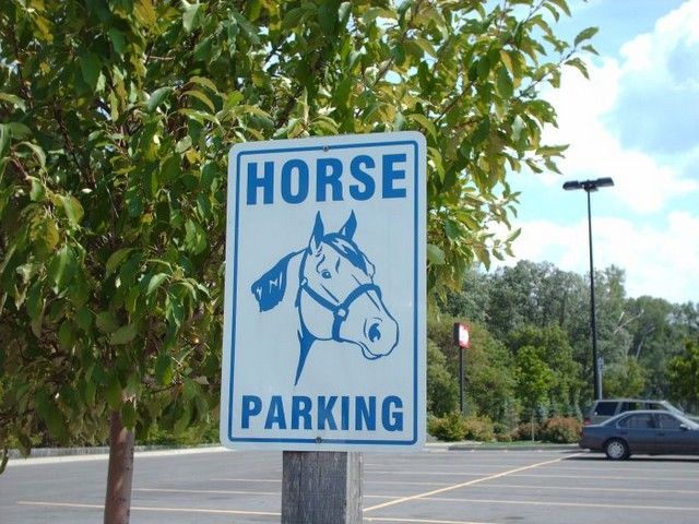 Obrázek horse parking