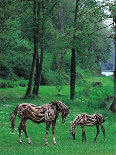 Obrázek horses