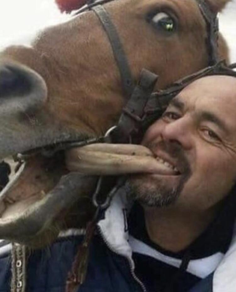 Obrázek horsie