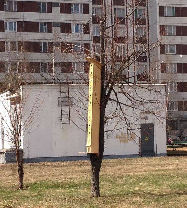 Obrázek hotel for birds