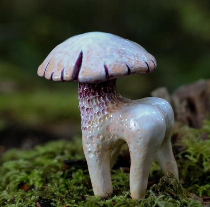 Obrázek houba s prdeli