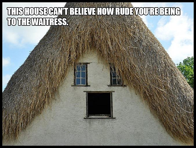 Obrázek house-face1