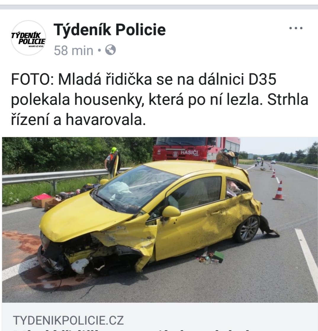 Obrázek housenka a ridicka