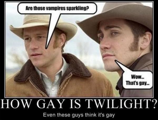 Obrázek how-gay-is-twilight