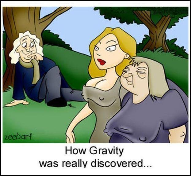 Obrázek how gravity