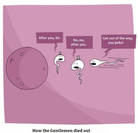 Obrázek how the gentlmen died out