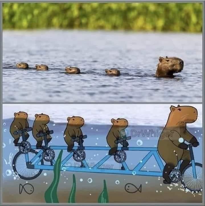 Obrázek how they are