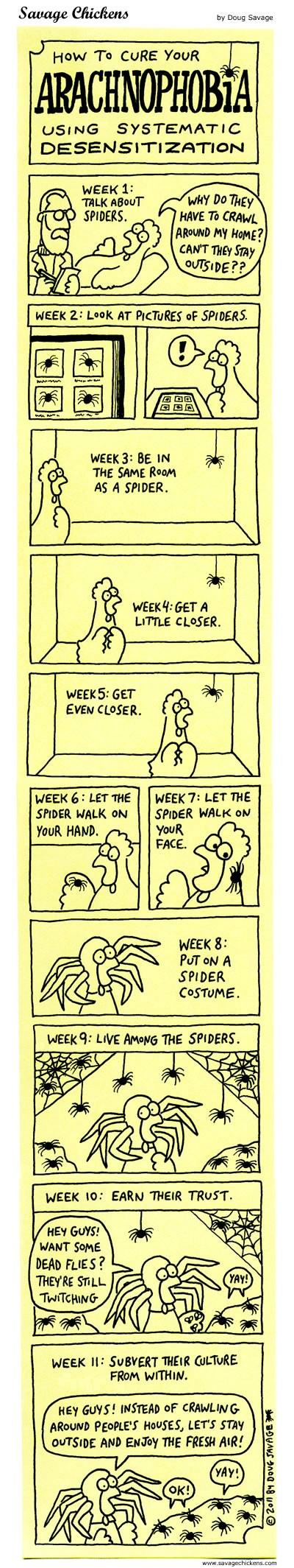 Obrázek how to cure your arachnophobia