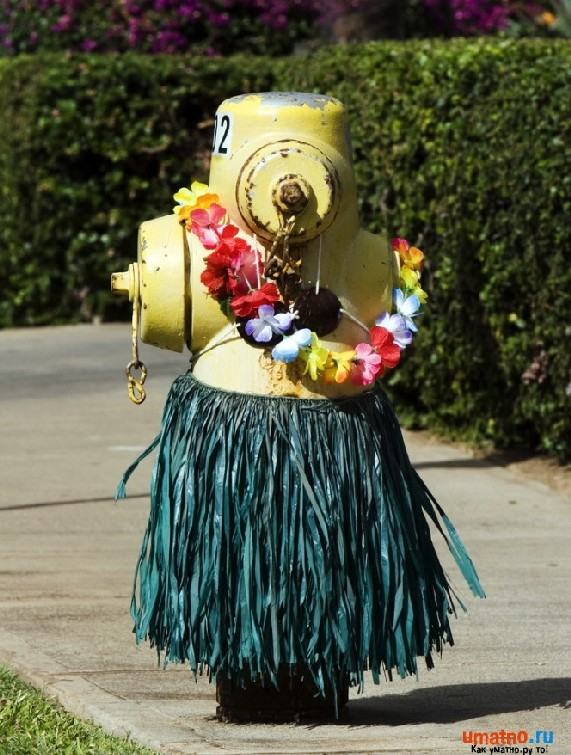 Obrázek hula hula hydrant
