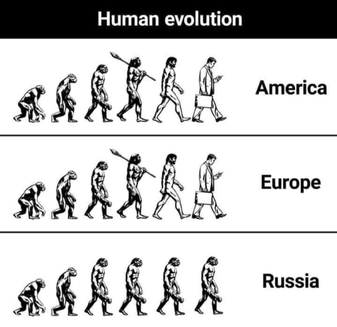 Obrázek human evolution II