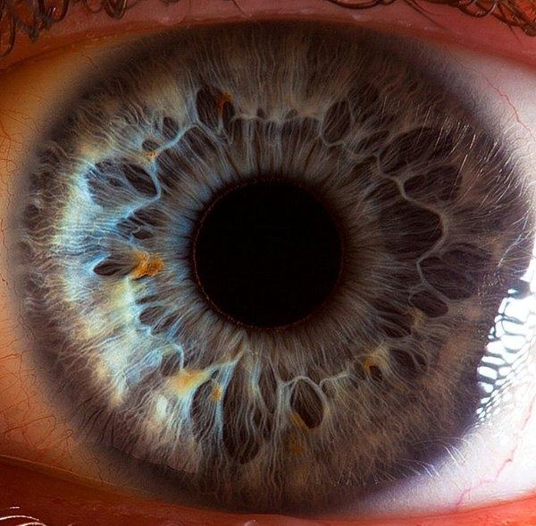 Obrázek human eye 2