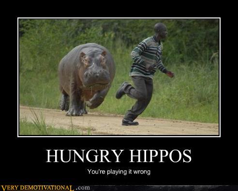 Obrázek hungry hippos