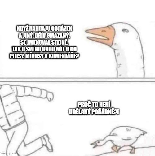 Obrázek husa