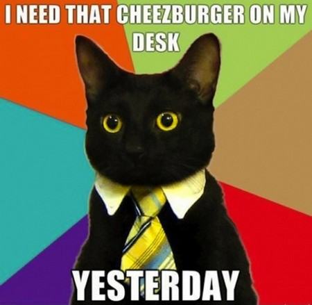 Obrázek i-need-that-cheezburger-on-my-desk