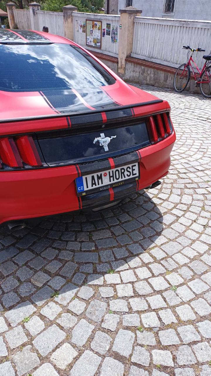 Obrázek i am horse