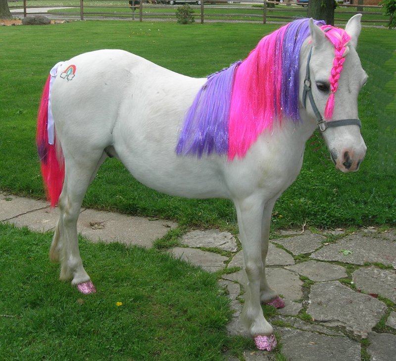 Obrázek i heard you like ponies