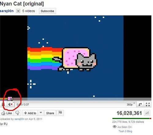 Obrázek i herd u like nyan cat