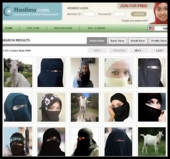 Obrázek i m sure this muslim dating sites the bomb 