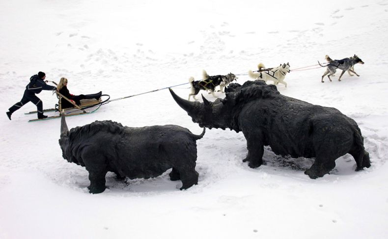 Obrázek ice age