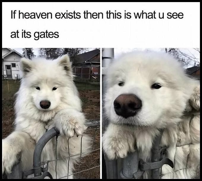 Obrázek if heaven exists