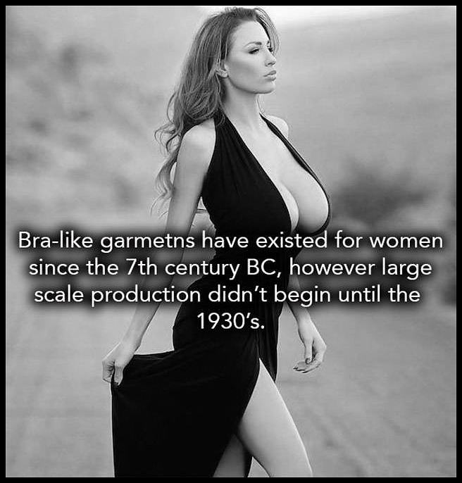 Obrázek if you like breasts youll like these facts about them 2