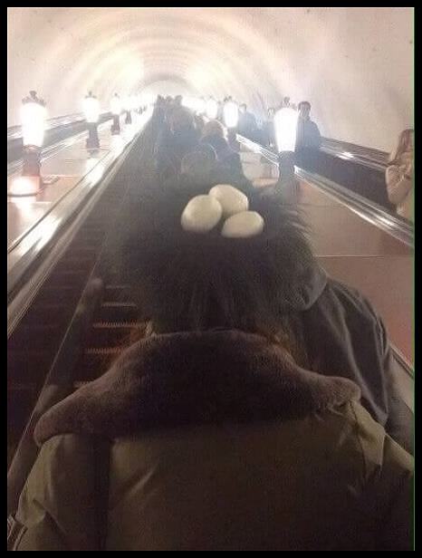 Obrázek igor hnizdo v metru