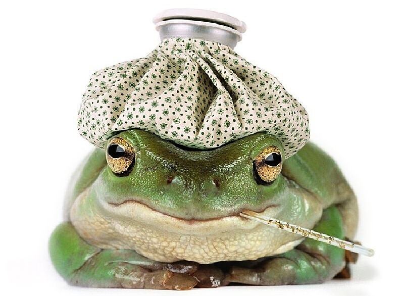 Obrázek ill frog