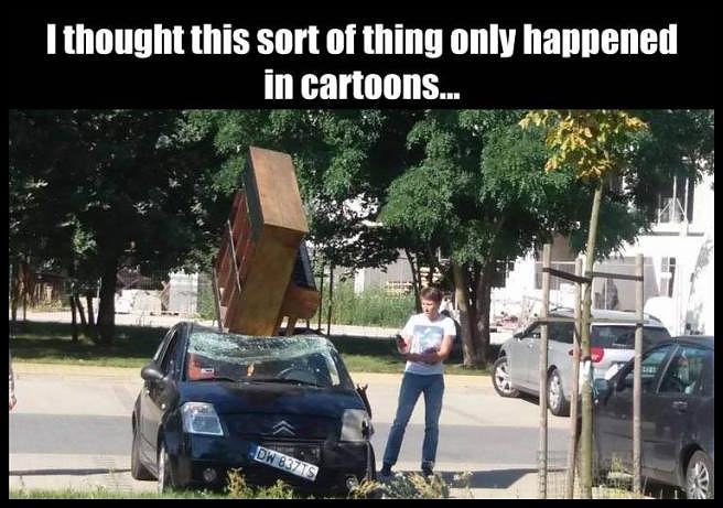 Obrázek in cartoons. . . 