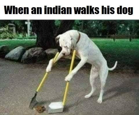 Obrázek ind walk dog