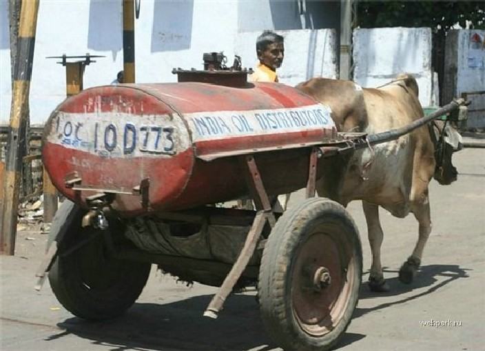 Obrázek india oil distributors