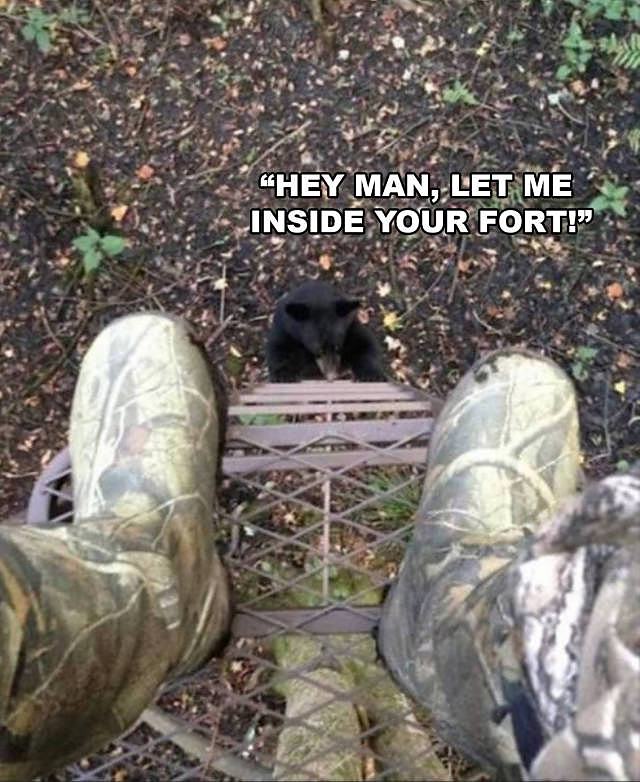 Obrázek inside your fort    